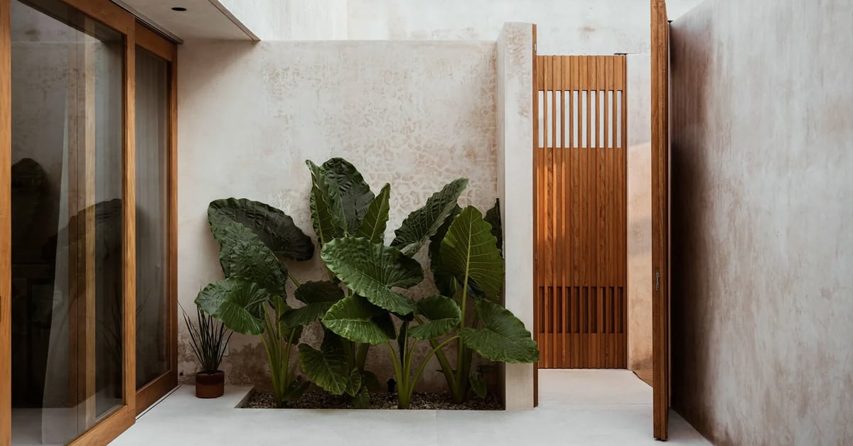 SIMCA-Hogar_Yucatecp-02