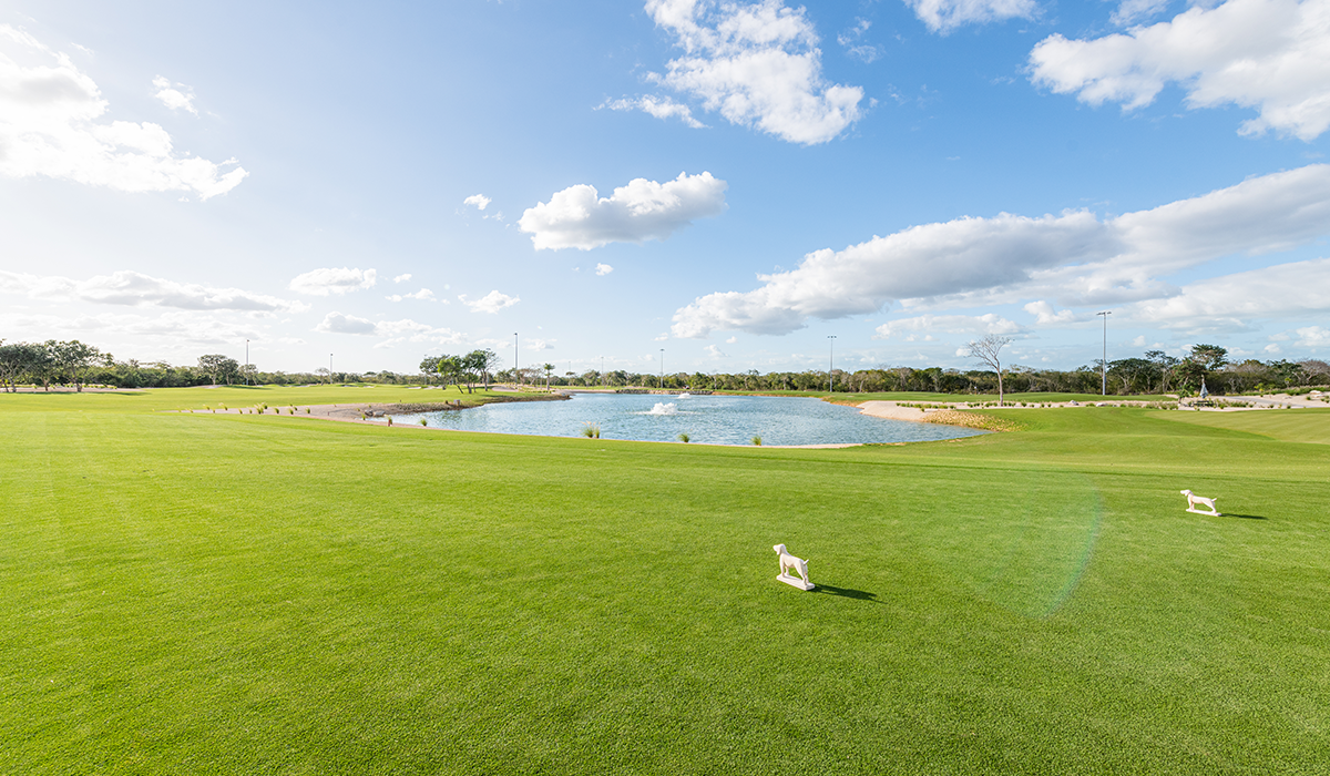 Vivir cerca de un campo de golf es más beneficioso de lo que crees-01-blog
